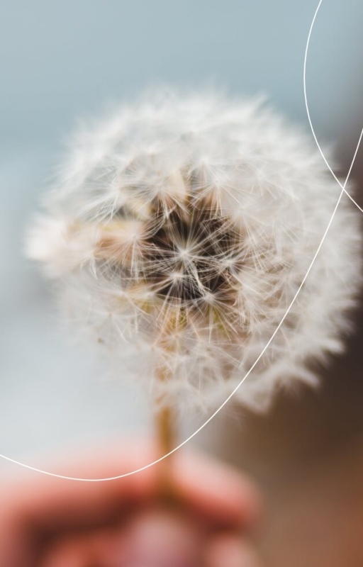 Centro de psicología Lazos