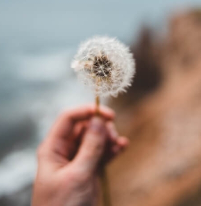 Formación profesionales educativos