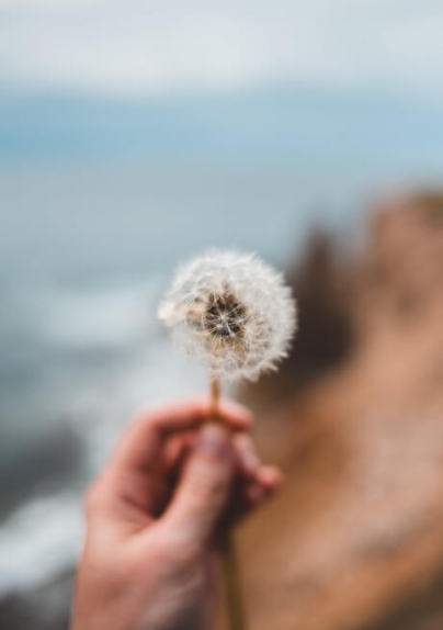 Formación profesionales educativos